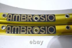 Ambrosio Excellence Team Edition 700C 36spoke hole citron balanced clincher rims