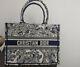 Christian Dior Book Tote Limited Edition, Embroidered Cotton Bag, New