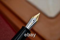 STIPULA Il Dono 925 Sterling Silver Limited Edition Fountain Pen #434/988 B Nib